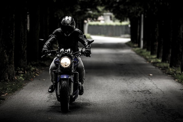 Motorradkennzeichen behalten oder freigeben? Möglichkeiten bei der Online-Abmeldung